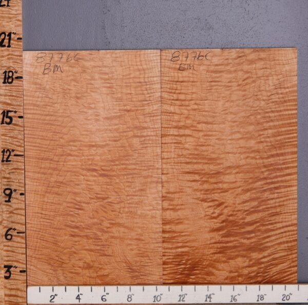 Musical Curly Maple Microlumber Bookmatch 19" X 21" X 1/4 (NWT-8776C)