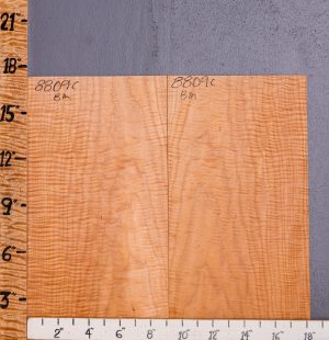 Musical Curly Maple Microlumber Bookmatch 18"1/4 X 17" X 1/8 (NWT-8809C)
