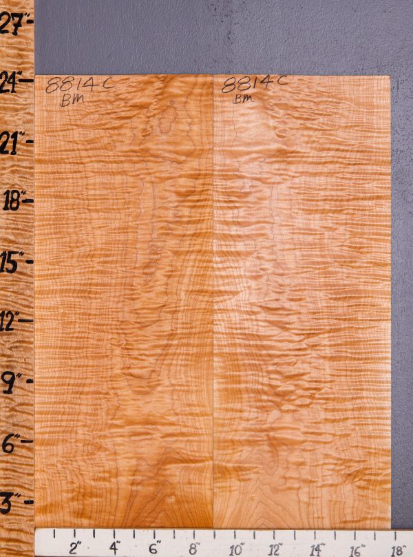 Musical Curly Maple Microlumber Bookmatch 17"7/8 X 24" X 1/8 (NWT-8814C)