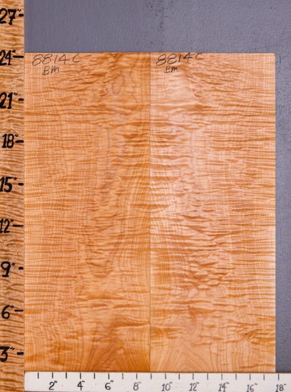 Musical Curly Maple Microlumber Bookmatch 17"7/8 X 24" X 1/8 (NWT-8814C) - Image 2