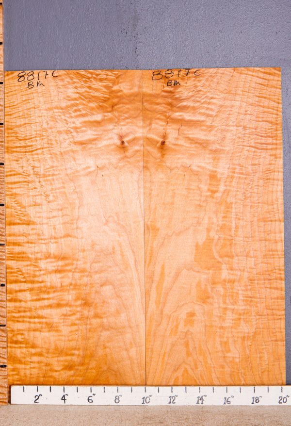 Musical Curly Maple Microlumber Bookmatch 20"1/2 X 24" X 1/8 (NWT-8817C)