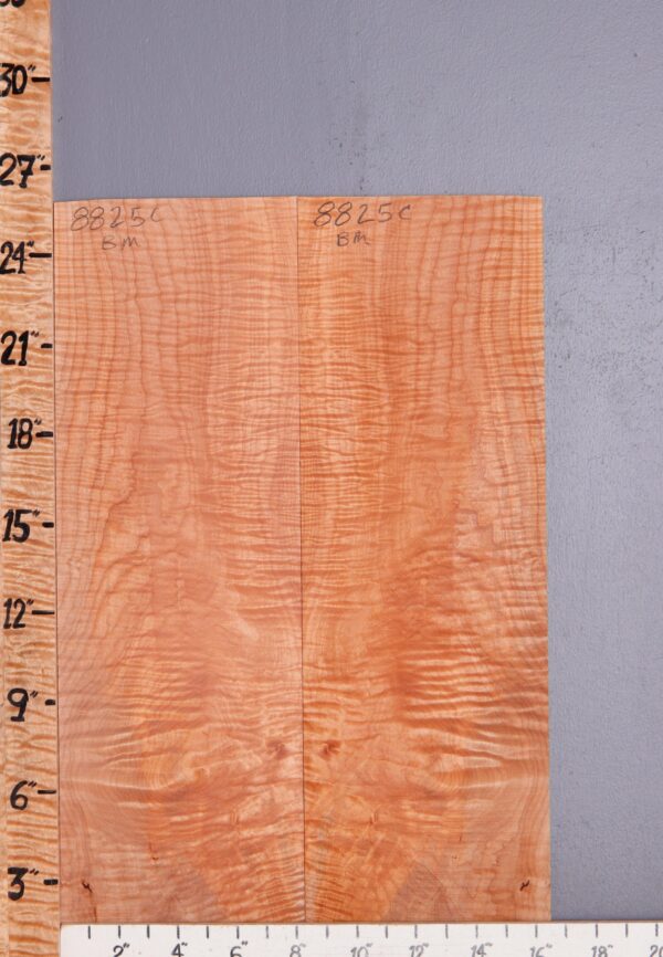 Musical Red Heart Curly Maple Microlumber Bookmatch 16"1/2 X 25" X 1/8 (NWT-8825C) - Image 2