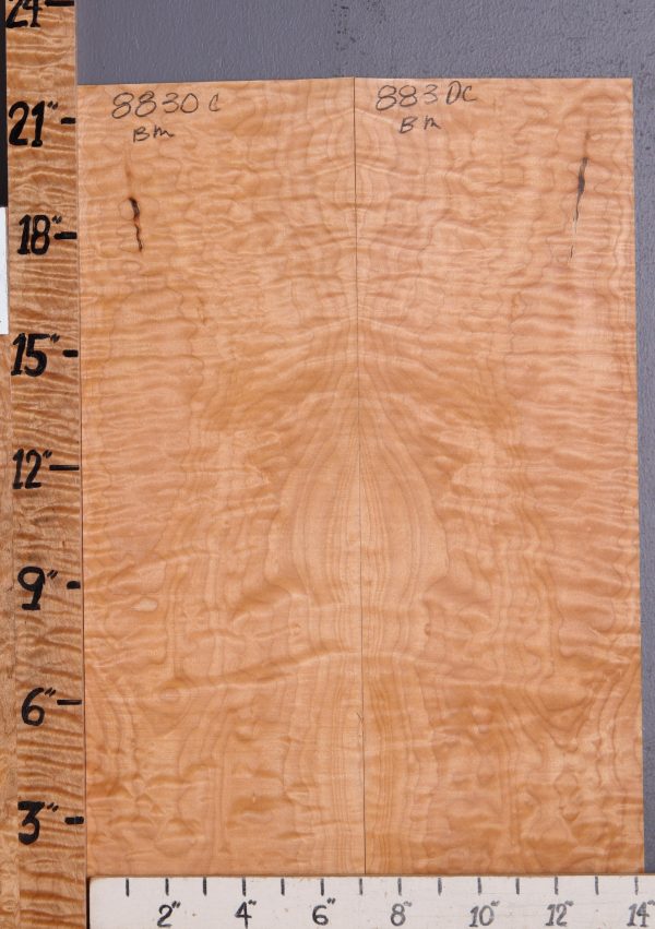Musical Quilted Maple Microlumber Bookmatch 14"3/8 X 21" X 1/8 (NWT-8830C)