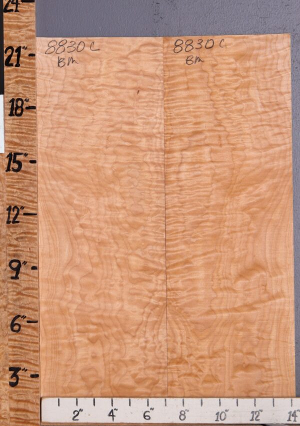 Musical Quilted Maple Microlumber Bookmatch 14"3/8 X 21" X 1/8 (NWT-8830C)