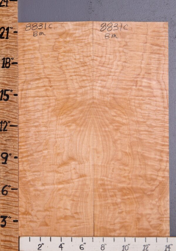 Musical Quilted Maple Microlumber Bookmatch 14"3/8 X 21" X 1/8 (NWT-8831C) - Image 2