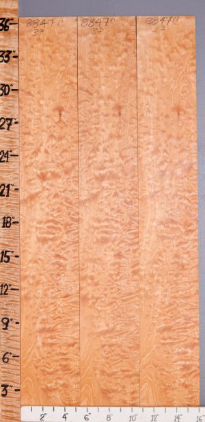 Musical Quilted Maple Microlumber 3 Board Set 16"1/8 X 36" X 1/8 (NWT-8847C)