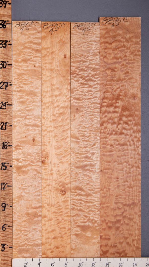 Musical Quilted Maple Lumber 4 Board Set 19" X 36" X 4/4 (NWT-8896C)