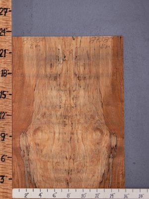 5A Spalted Curly Maple Bookmatch Microlumber 15"3/4 X 23" X 3/8 (NWT-8938C)