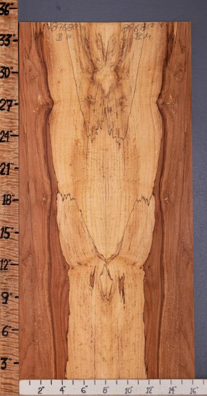 5A Spalted Maple Bookmatch Microlumber 16"1/4 X 34" X 3/8 (NWT-8968C)