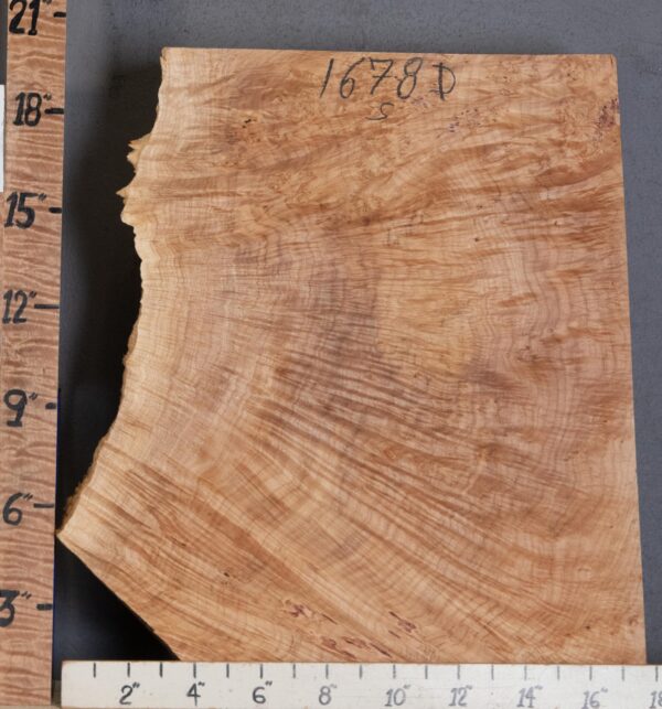 5A Block Curly Burl Maple with Live Edge Lumber 15" X 20" X 3"1/4 (NWT-1678D) - Image 2