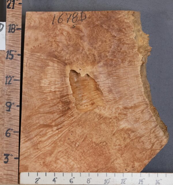 5A Block Curly Burl Maple with Live Edge Lumber 15" X 20" X 3"1/4 (NWT-1678D)