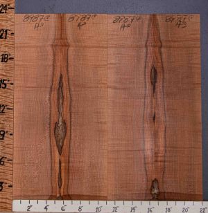 5A Spalted Curly Maple Bookmatch Microlumber 4 Board Set 22" X 23" X 1/4 (NWT-8987C)