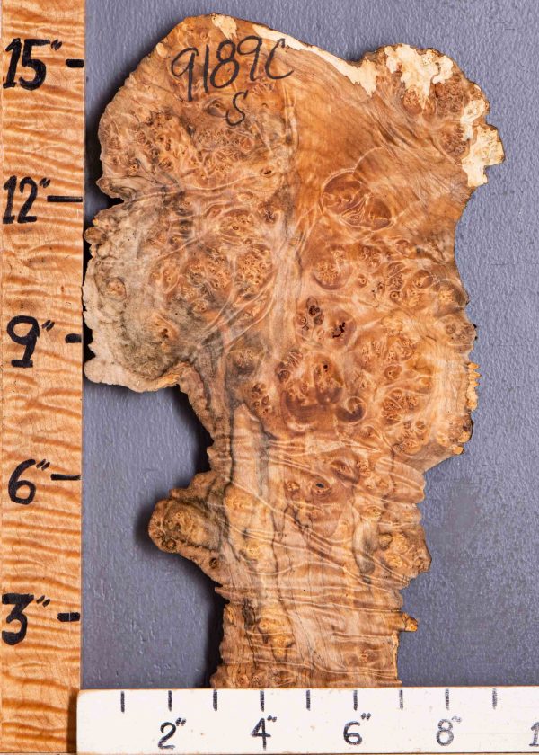 5A Spalted Burl Maple Lumber 9" X 16" X 1" (NWT-9189C)
