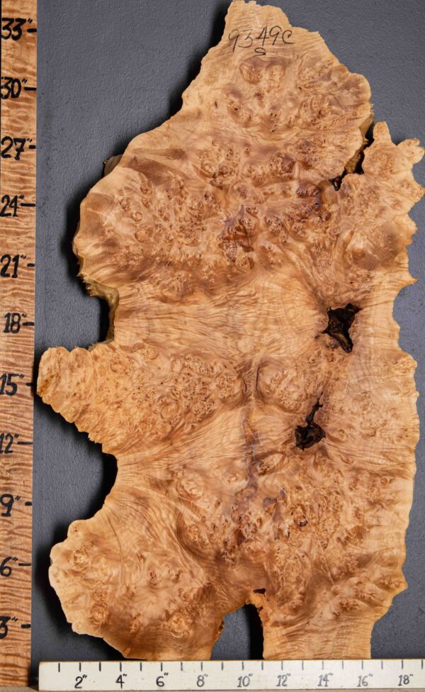 5A Spalted Burl Maple with Live Edge 18" X 34" X 1"3/4 (NWT-9349C) - Image 2