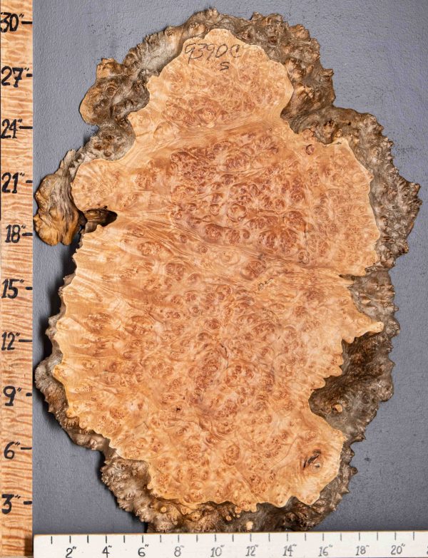 5A Burl Spalted Maple Lumber with Live Edge 19" X 39" X 2" (NWT-9390C)