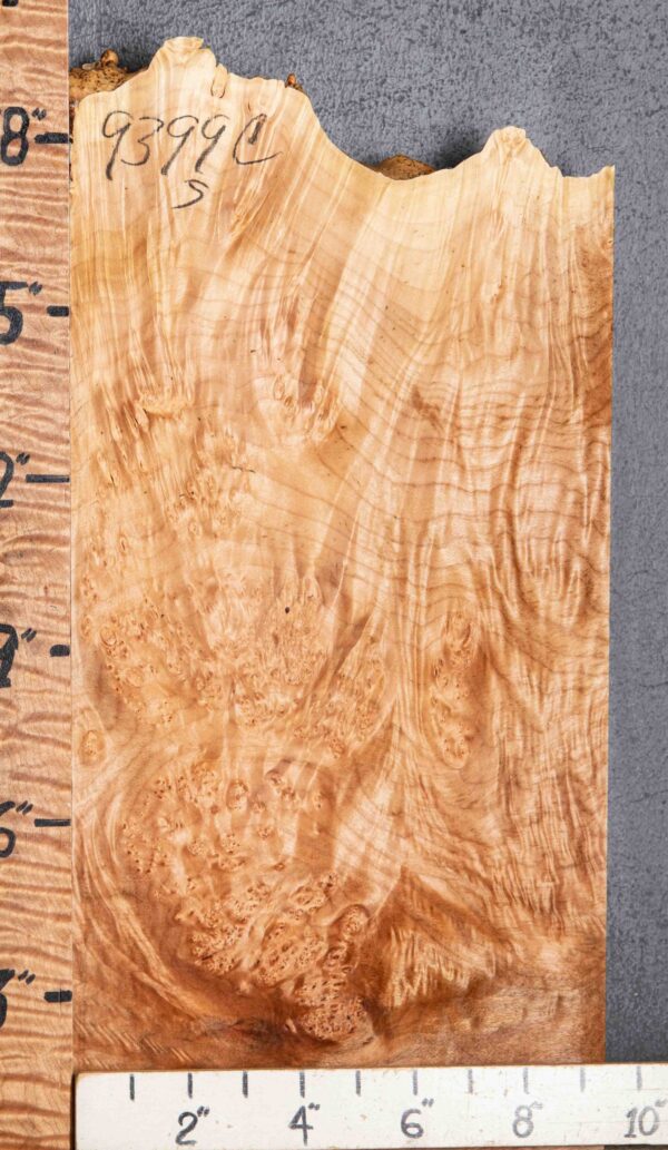 5A Burl Spalted Maple with Live Edge 9"1/2 X 16" X 2" (NWT-9399C) - Image 2