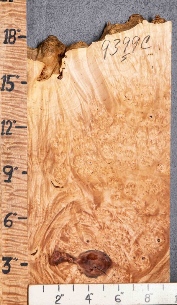 5A Burl Spalted Maple with Live Edge 9"1/2 X 16" X 2" (NWT-9399C)