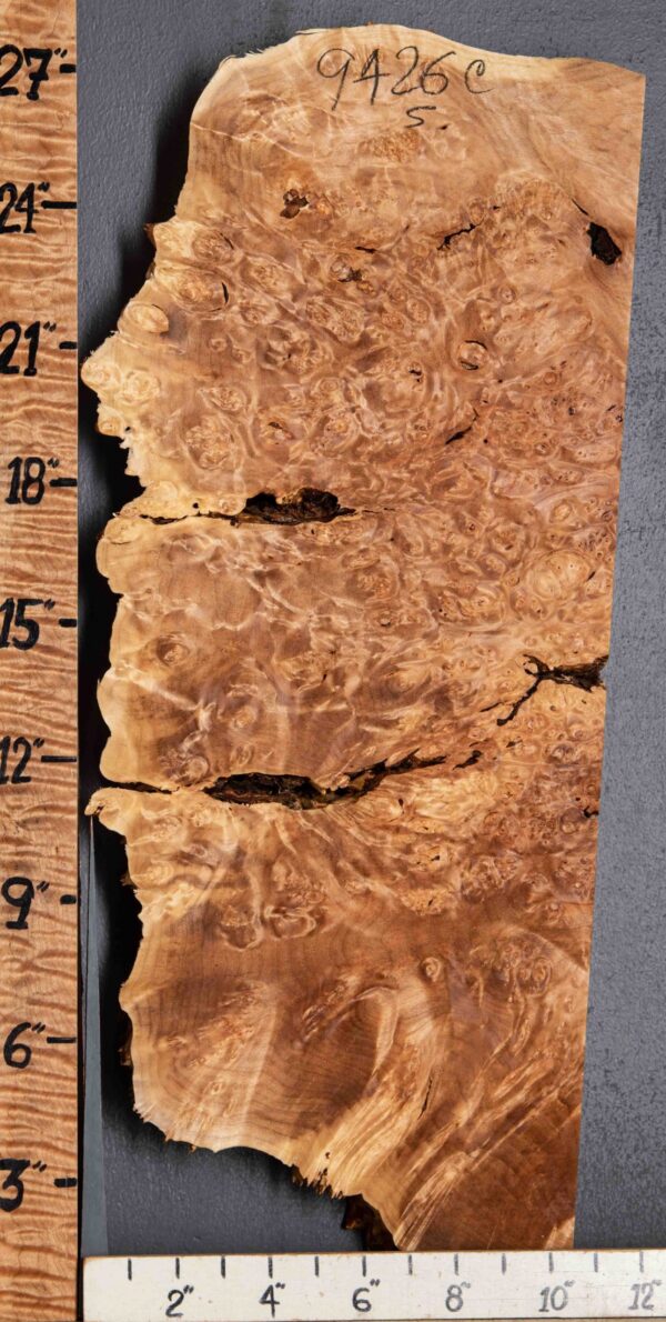 5A Burl Maple with Live Edge 10" X 26" X 1"7/8 (NWT-9426C) - Image 2