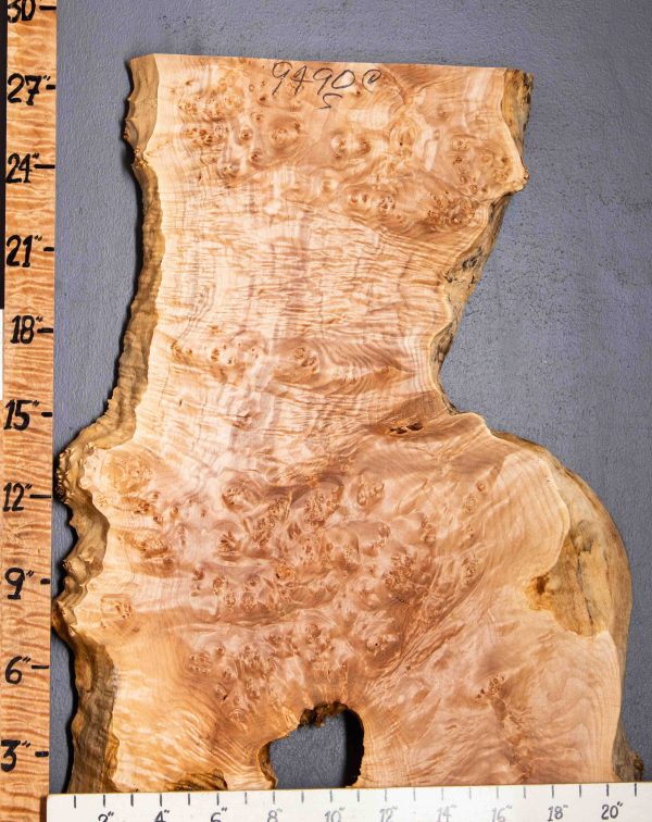 5A Spalted Burl Maple with Live Edge 20" X 27" X 1"1/2 (NWT-9490C)