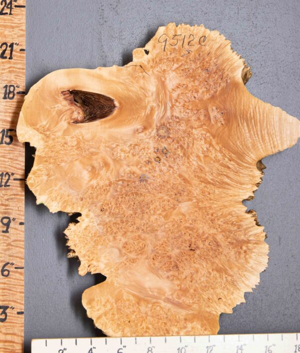 5A Burl Maple with Live Edge 16" X 21" X 1"7/8 (NWT-9512C) - Image 2