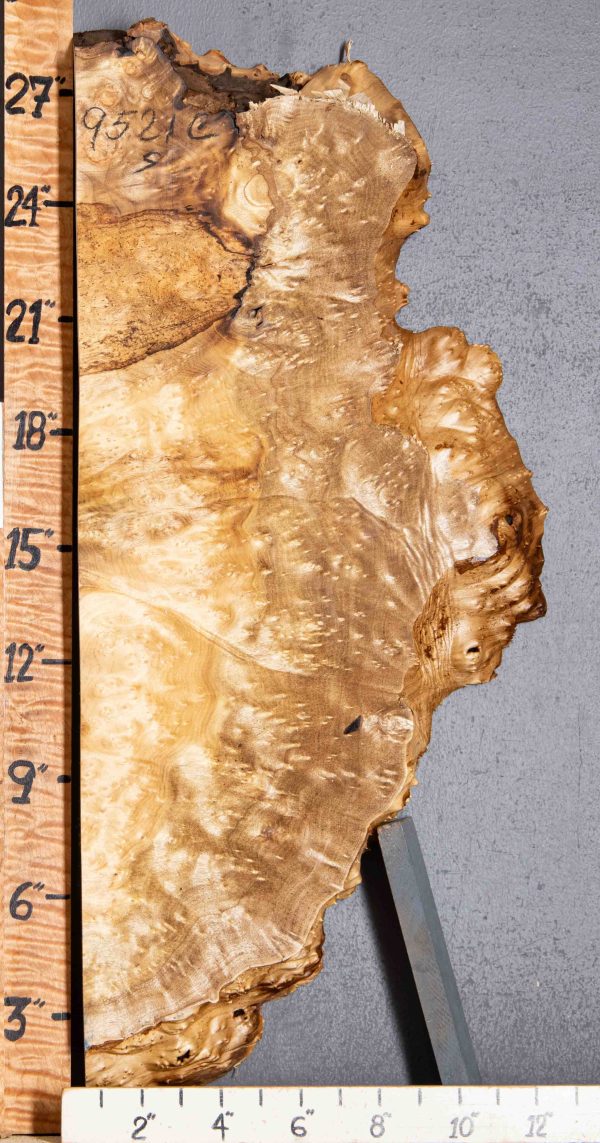 5A Burl Myrtlewood Lumber with Live Edge 11" X 28" X 1"7/8 (NWT-9521C)
