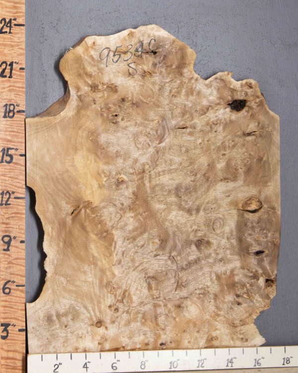5A Burl Myrtlewood Lumber with Live Edge 18" X 24" X 4/4 (NWT-9534C)