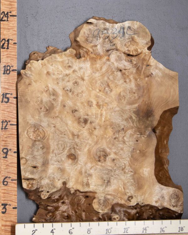 5A Burl Myrtlewood Lumber with Live Edge 18" X 24" X 4/4 (NWT-9534C)