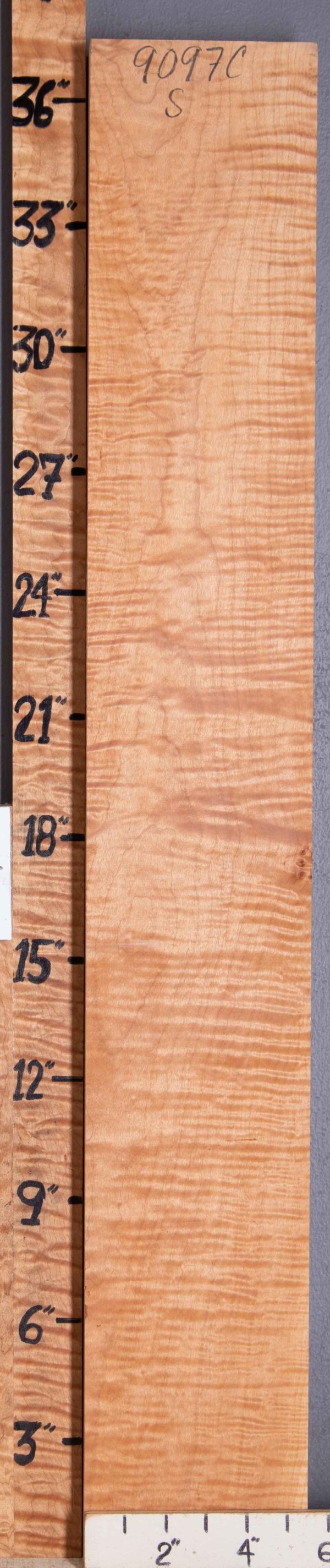 Musical Curly Maple Side Billet 5"1/2 X 37" X 1"1/2 (NWT-9097C)