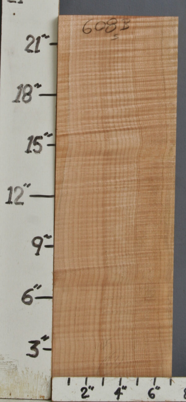 CURLY MAPLE BLOCK 7" X 22" X 1"7/8 (NWT608B)