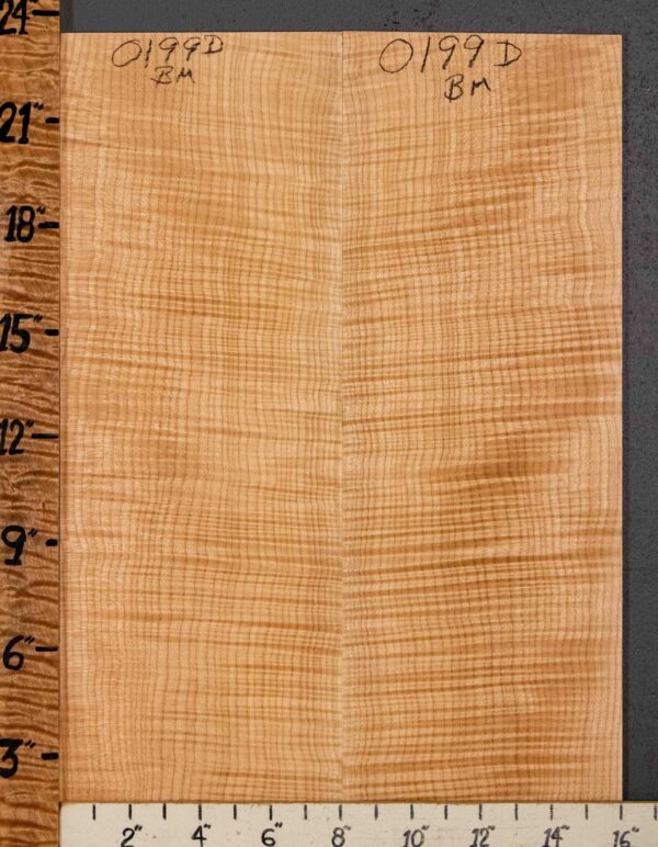 Musical Microlumber Curly Maple Vertical Grain Bookmatch 16" X 23" X 1/4" (NWT-0199D) - Image 2