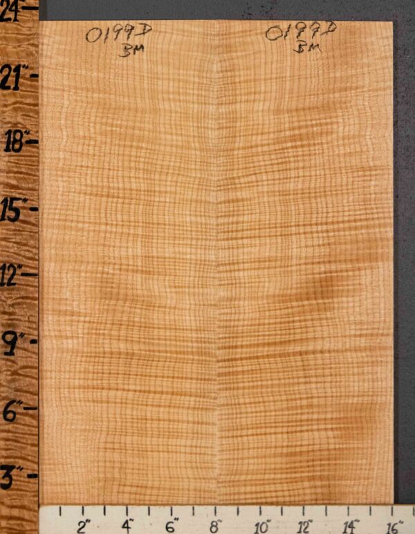 Musical Microlumber Curly Maple Vertical Grain Bookmatch 16" X 23" X 1/4" (NWT-0199D)