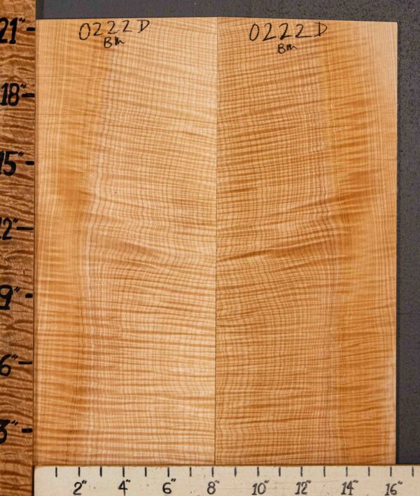 Musical Microlumber Curly Maple Vertical Grain Bookmatch 16"3/4 X 21" X 1/4" (NWT-0222D) - Image 2