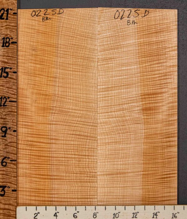 Musical Microlumber Curly Maple Vertical Grain Bookmatch 16"3/4 X 21" X 1/4" (NWT-0225D) - Image 2