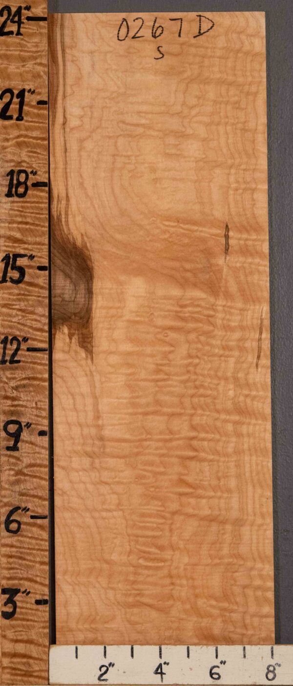 Musical Microlumber Curly Maple 7"7/8 X 24" X 1/4" (NWT-0267D)