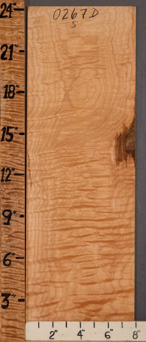 Musical Microlumber Curly Maple 7"7/8 X 24" X 1/4" (NWT-0267D) - Image 2