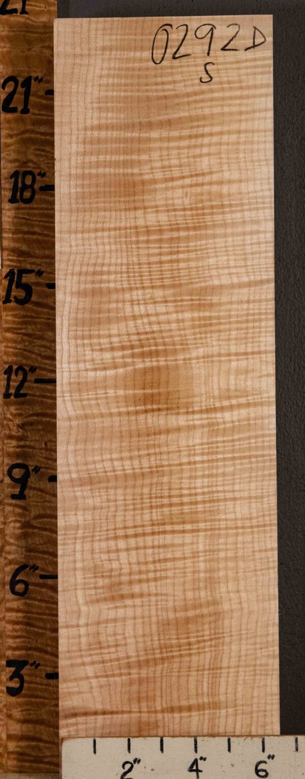 Musical Billet Curly Maple 6"1/2 X 22" X 2"7/8 (NWT-0292D)