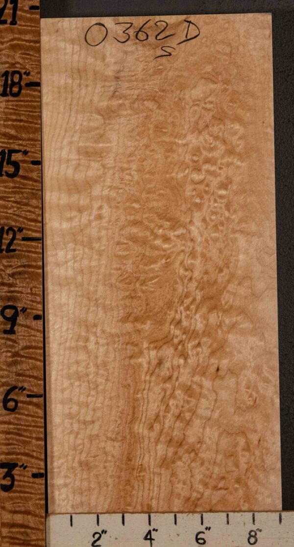 Musical Billet Quilted Maple 9" X 20" X 1"1/2 (NWT-0362D) - Image 2