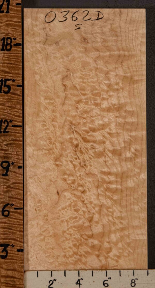 Musical Billet Quilted Maple 9" X 20" X 1"1/2 (NWT-0362D)