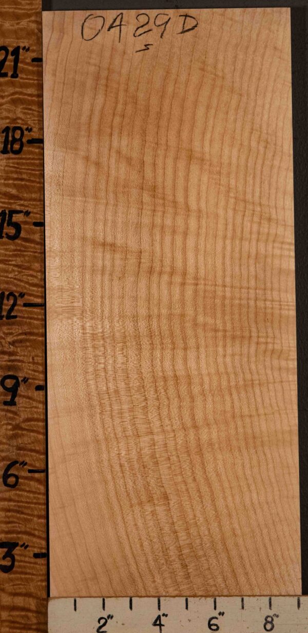 Musical Billet Curly Maple Vertical Grain 9" X 22" X 1" (NWT-0429D) - Image 2