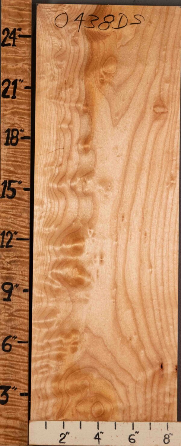 5A Block Quilted Maple 8"3/8 X 24" X 2"1/2 (NWT-0438D)