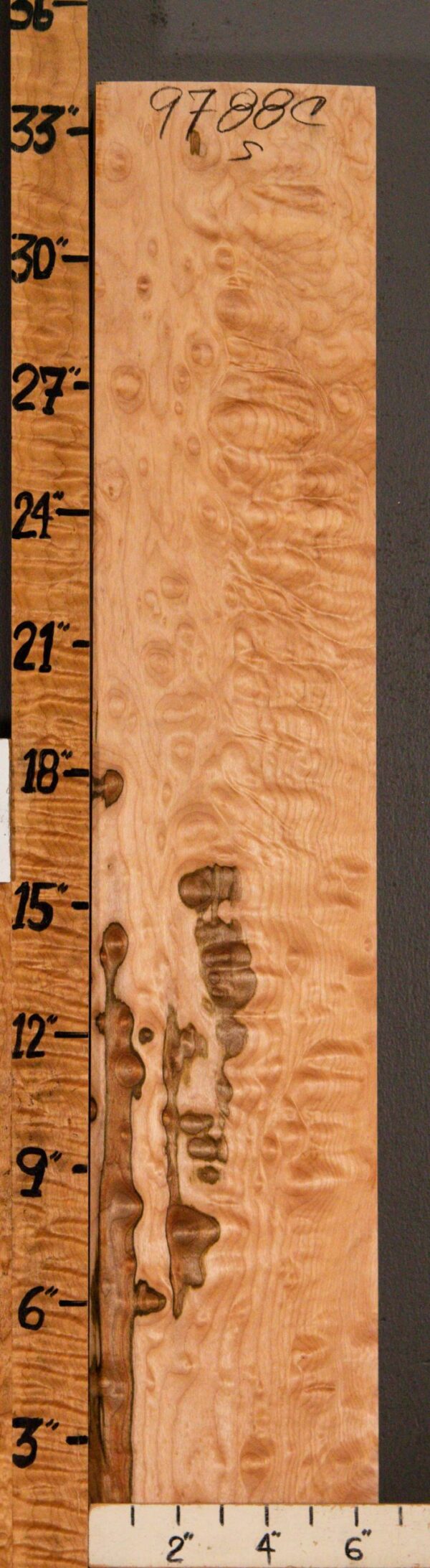 5A Block Spalted Quilted Maple 6"1/2 X 34" X 1"3/4 (NWT-9788C)