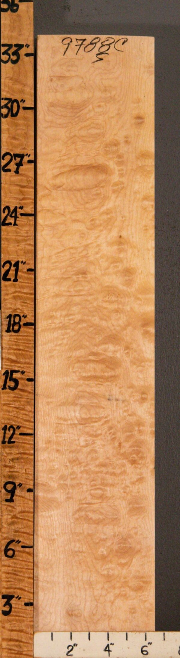 5A Block Spalted Quilted Maple 6"1/2 X 34" X 1"3/4 (NWT-9788C) - Image 2