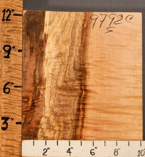 5A Block Spalted Quilted Maple 10" X 12" X 2"1/2 (NWT-9792C) - Image 2