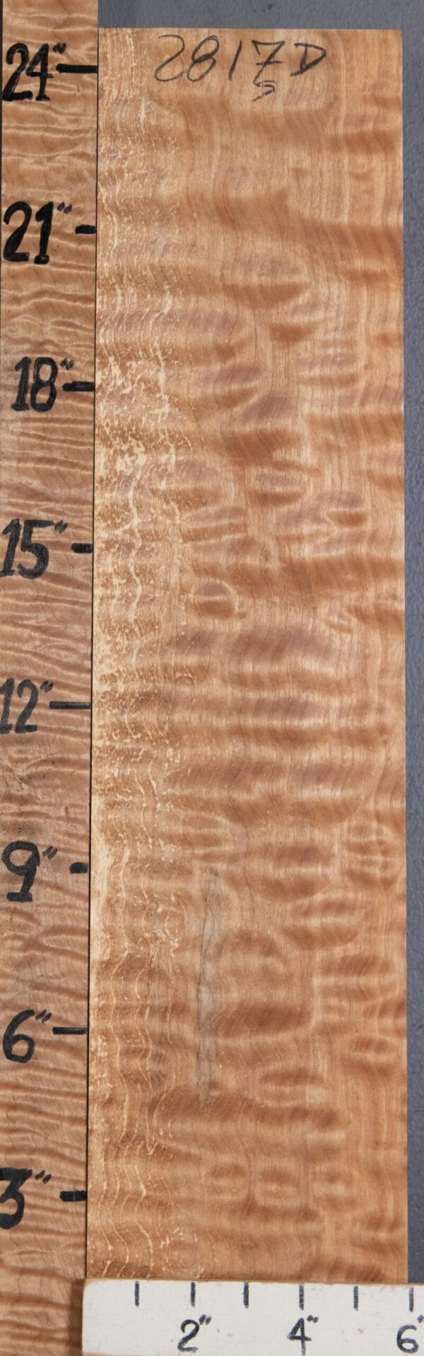 Musical Billet Quilted Maple Lumber 5"3/4 X 24" X 2"1/8 (NWT-2817D) - Image 2