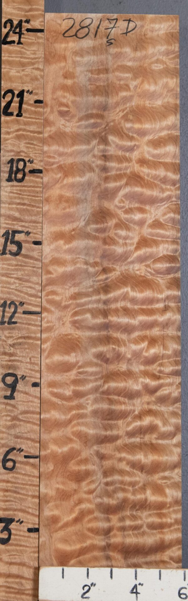 Musical Billet Quilted Maple Lumber 5"3/4 X 24" X 2"1/8 (NWT-2817D)