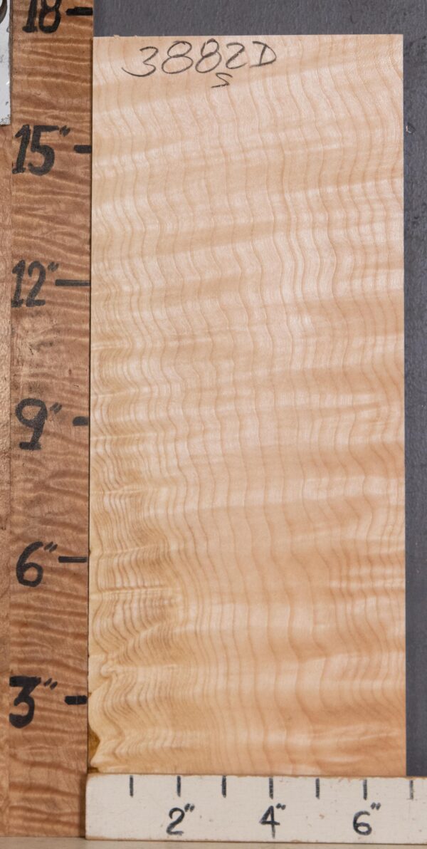 Musical Billet Curly Maple