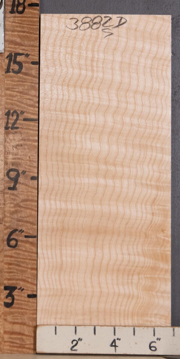 Musical Billet Curly Maple