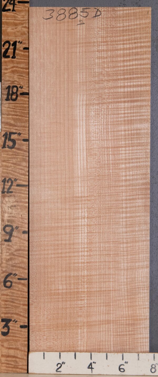 Musical Billet Curly Maple