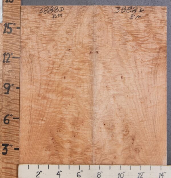 Musical Billet Curly Maple