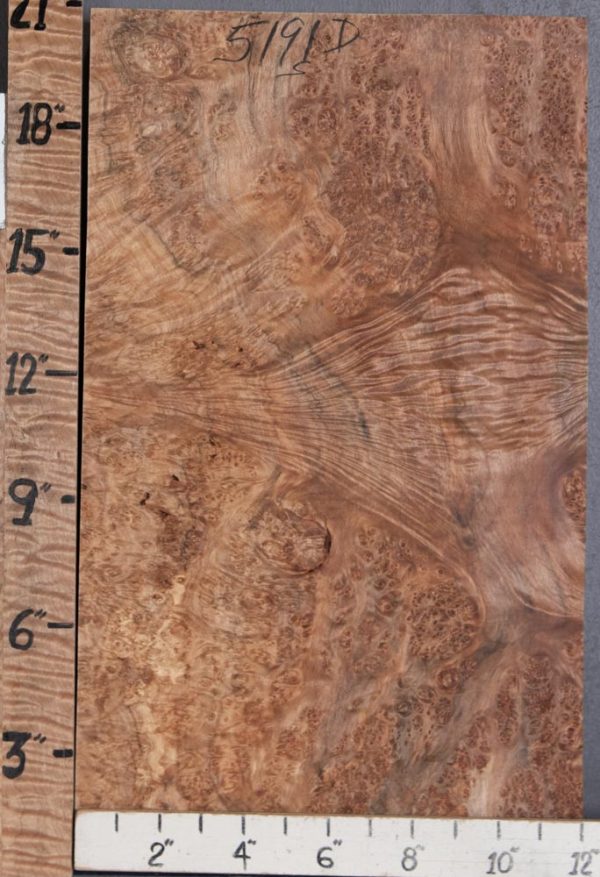 Musical Billet Burl Maple